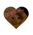 ミックくんです（個別スタンプ：1）