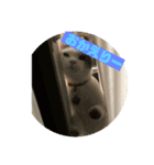 ミックくんです（個別スタンプ：2）