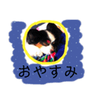 愛犬マック（個別スタンプ：6）