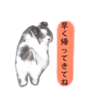 愛犬マック（個別スタンプ：8）
