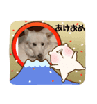 すっとぼけちょび
のスタンプ（個別スタンプ：8）