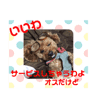 大人になったマロンちゅわん（個別スタンプ：8）
