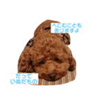 大人になったマロンちゅわん（個別スタンプ：16）