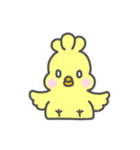 ぴよりんちょスタンプ（個別スタンプ：1）