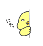 ぴよりんちょスタンプ（個別スタンプ：17）