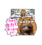 トイプードル  J     お正月編（個別スタンプ：8）