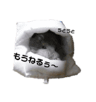 じゃんがりあんのなっとう（個別スタンプ：3）