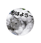 じゃんがりあんのなっとう（個別スタンプ：4）
