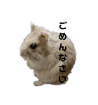 じゃんがりあんのなっとう（個別スタンプ：7）