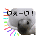 じゃんがりあんのなっとう（個別スタンプ：28）