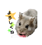 じゃんがりあんのなっとう（個別スタンプ：32）