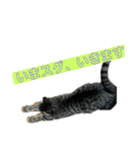 野良猫のじう（個別スタンプ：23）