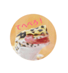 ぺろの日常（個別スタンプ：2）