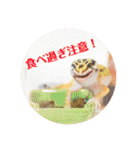 ぺろの日常（個別スタンプ：9）