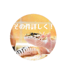 ぺろの日常（個別スタンプ：10）