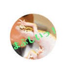 ぺろの日常（個別スタンプ：17）