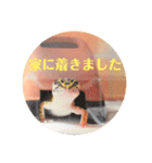 ぺろの日常（個別スタンプ：27）