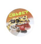 ぺろの日常（個別スタンプ：29）