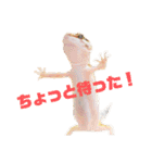 ぺろの日常（個別スタンプ：32）