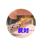 ぺろの日常（個別スタンプ：35）
