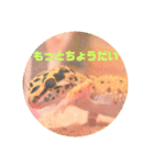 ぺろの日常（個別スタンプ：39）
