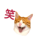 オレ福丸（個別スタンプ：1）