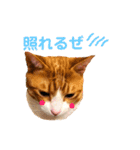 オレ福丸（個別スタンプ：4）