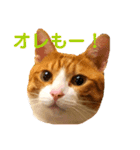 オレ福丸（個別スタンプ：7）