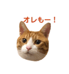 オレ福丸（個別スタンプ：8）