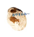オレ福丸（個別スタンプ：16）