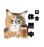 三毛猫さん 日常会話（個別スタンプ：2）