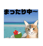 三毛猫さん 日常会話（個別スタンプ：4）
