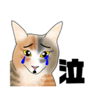 三毛猫さん 日常会話（個別スタンプ：7）