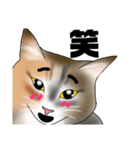 三毛猫さん 日常会話（個別スタンプ：8）