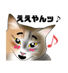三毛猫さん 日常会話（個別スタンプ：10）