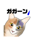 三毛猫さん 日常会話（個別スタンプ：15）