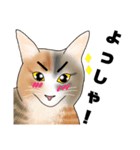 三毛猫さん 日常会話（個別スタンプ：18）