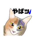 三毛猫さん 日常会話（個別スタンプ：21）