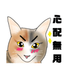 三毛猫さん 日常会話（個別スタンプ：25）