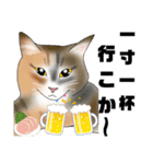 三毛猫さん 日常会話（個別スタンプ：27）