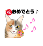 三毛猫さん 日常会話（個別スタンプ：31）