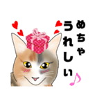 三毛猫さん 日常会話（個別スタンプ：32）