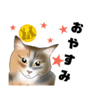 三毛猫さん 日常会話（個別スタンプ：33）