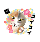 三毛猫さん 日常会話（個別スタンプ：37）