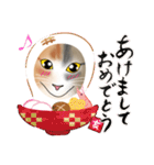 三毛猫さん 日常会話（個別スタンプ：38）