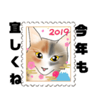 三毛猫さん 日常会話（個別スタンプ：39）