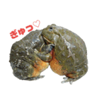 アフウシ2（個別スタンプ：1）