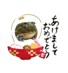 アフウシ2（個別スタンプ：37）