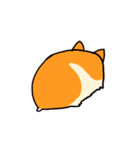 ハムスタースタンプ by ShinK（個別スタンプ：14）