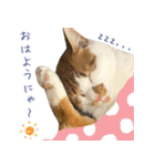 まさるのお返事スタンプ（個別スタンプ：3）